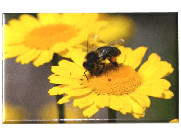 Magnet abeille sur fleur