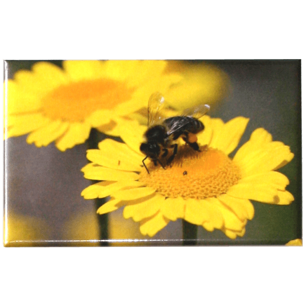 Magnet abeille sur fleur