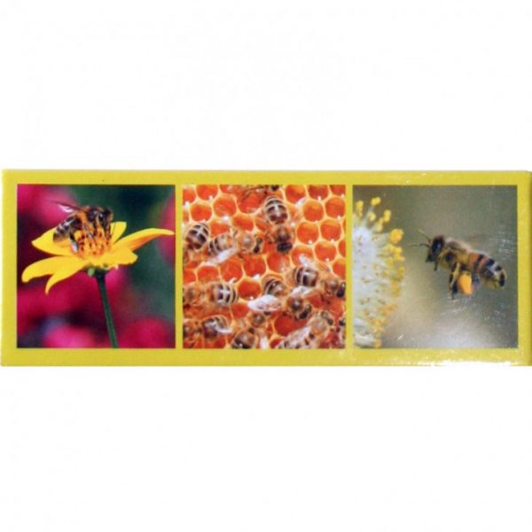 Magnet panoramique 3 photos abeilles