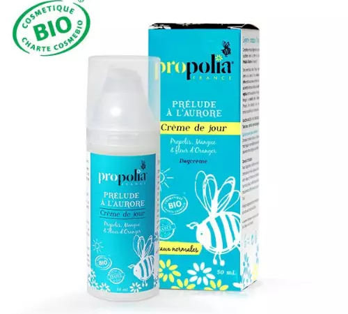 Crème de Jour Bio Peaux Normal (1)