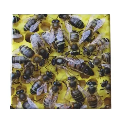 Magnet reine abeille