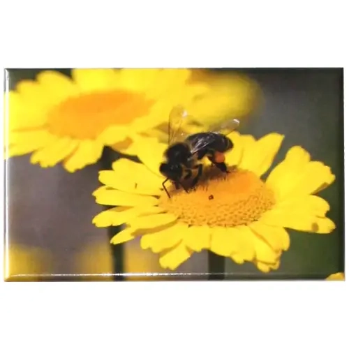 Magnet abeille sur fleur Magnet abeille sur fleur