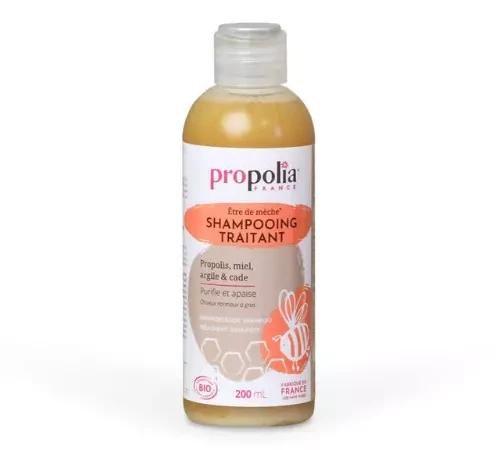 Shampoing Traitant Bio