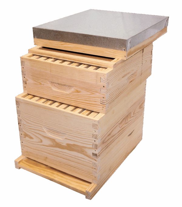 Les éléments de la ruche