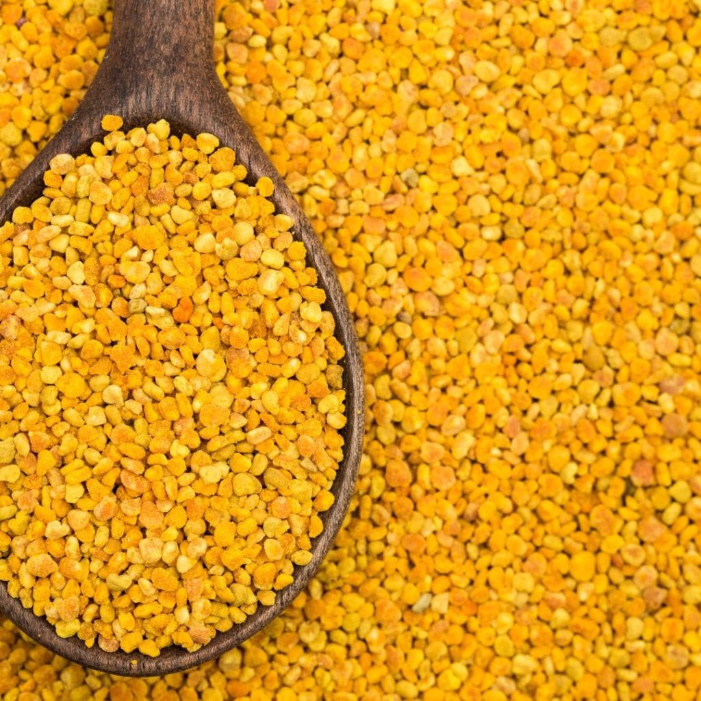 Comment réaliser la 1ère récolte de pollen ?