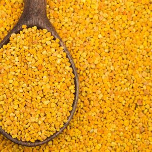 Comment réaliser la 1ère récolte de pollen ?