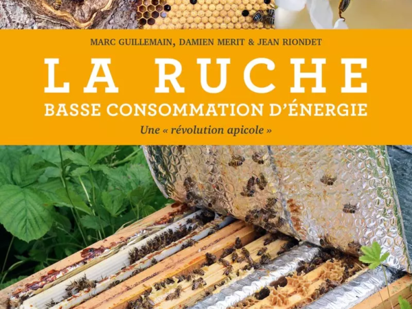 Livre La Ruche basse consommation d’énergie de Jean Riondet
