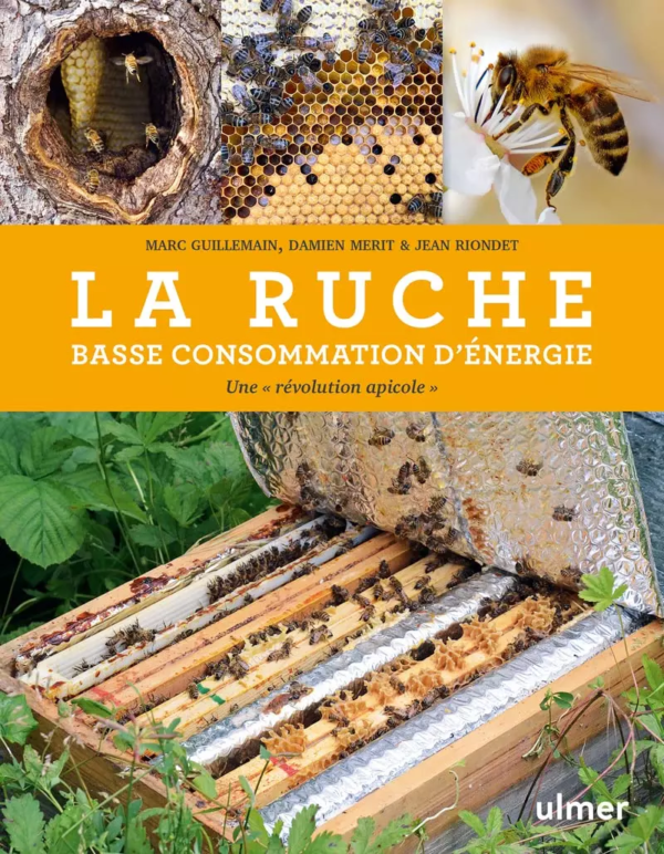 Livre La Ruche basse consommation d’énergie de Jean Riondet