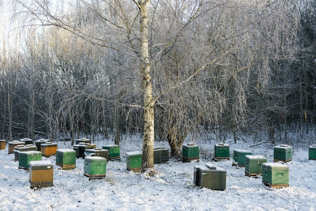 Comment bien isoler ses ruches en hiver ?
