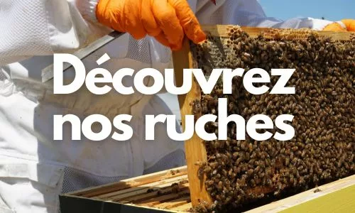 https://apistore.fr/wp-content/uploads/2024/02/Decouvrez-nos-ruches-jpg.webp
