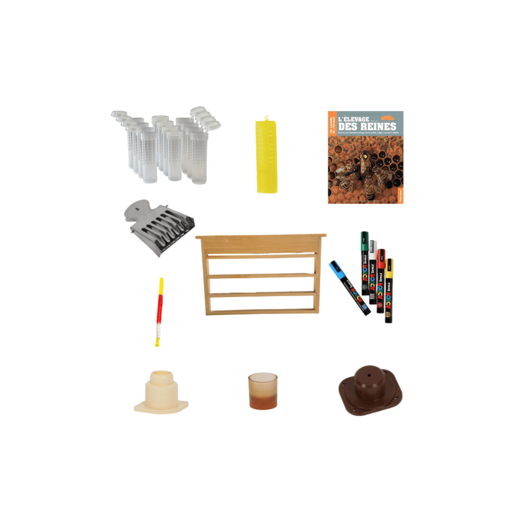 Kit complet pour élevage de reine