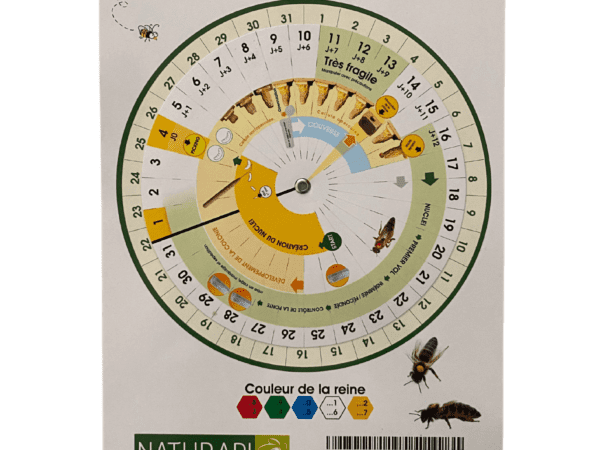 Calendrier d'élevage des reines Apistore