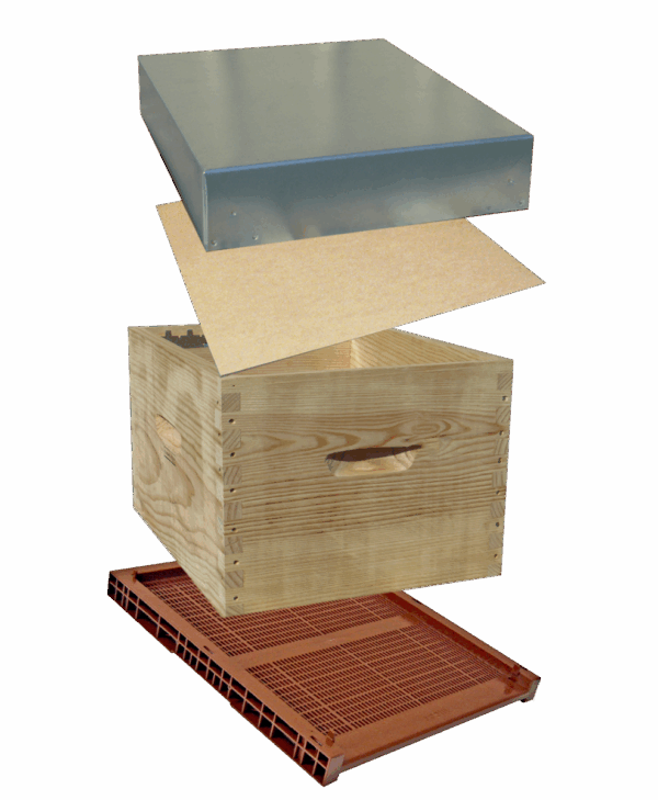 Ruche Dadant 10 pin maritime avec plancher plastique