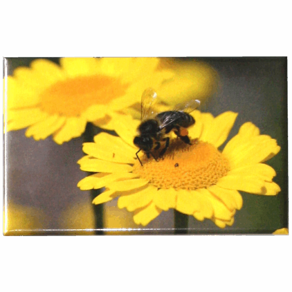 Magnet abeille sur fleur