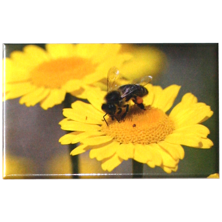 Magnet abeille sur fleur Magnet abeille sur fleur