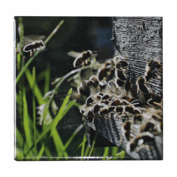 Magnet au trou de vol