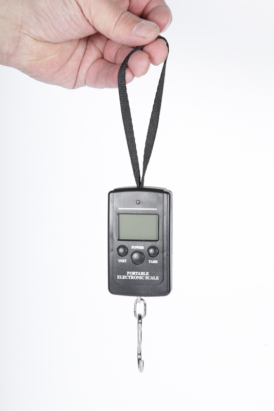 Peson électronique 40kg précision 10g avec tarage