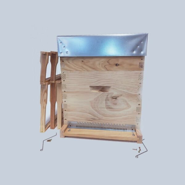 Ruche Dadant 10 avec hausse et cadres Hoffmann