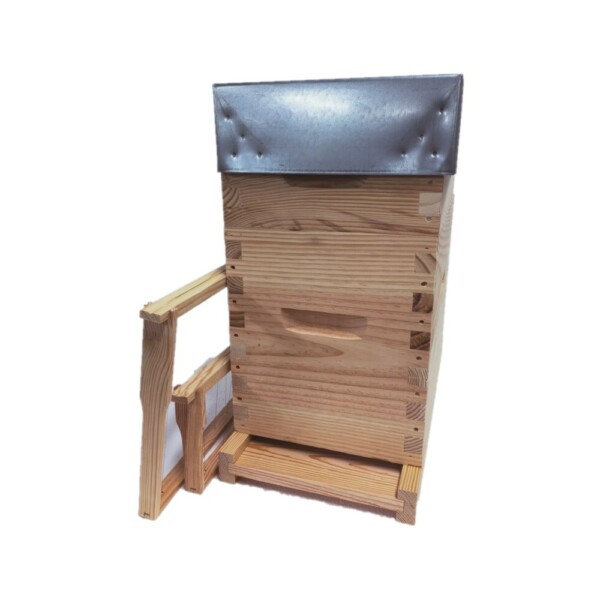 Ruchette Dadant 6 avec haussette et cadres Hoffmann