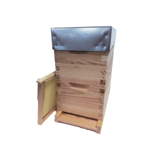 Ruchette Dadant 6 avec haussette et cadres Hoffmann cirés