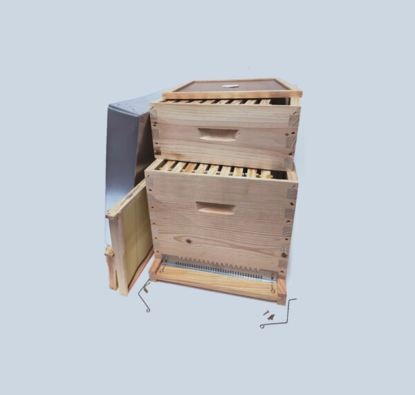 Ruche Dadant 10 avec hausse et cadres Hoffmann cirés
