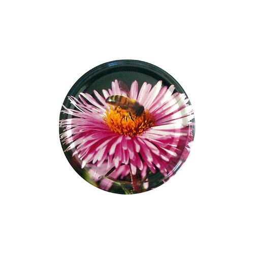 Capsules TO63 Fleur Mauve, sachet de 36