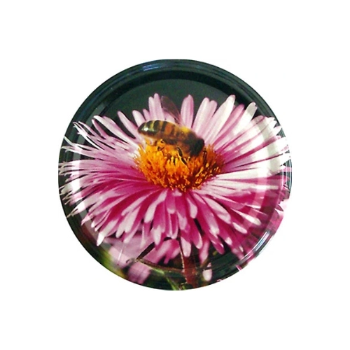 Capsules TO82 Fleur mauve, sachet de 36