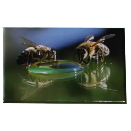 Magnet abeille sur bulle