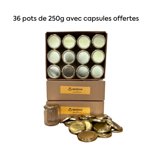 Pot en verre 250g, pack de 36, avec capsules or